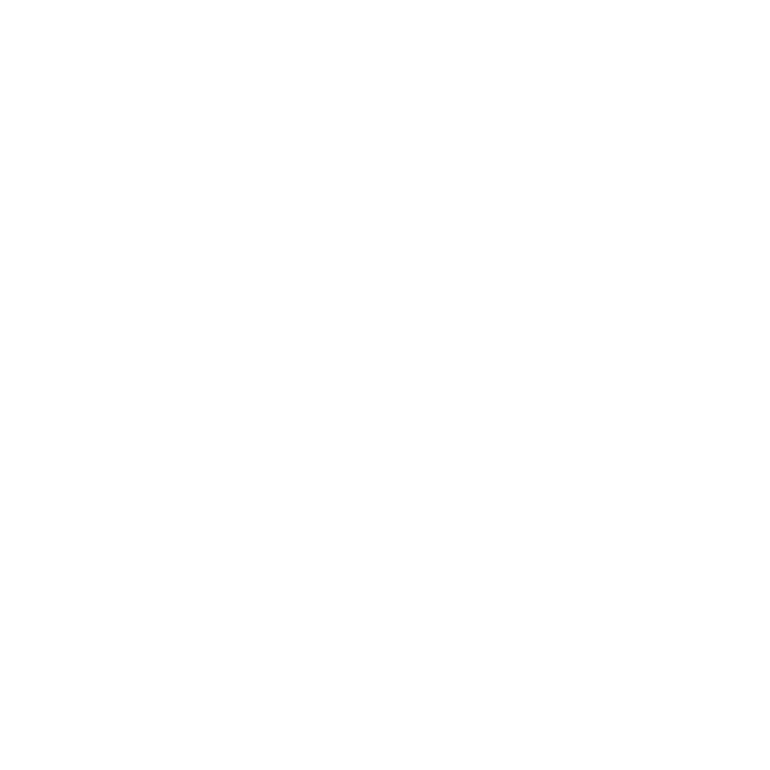 Village_Sports_logo_white